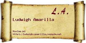 Ludwigh Amarilla névjegykártya